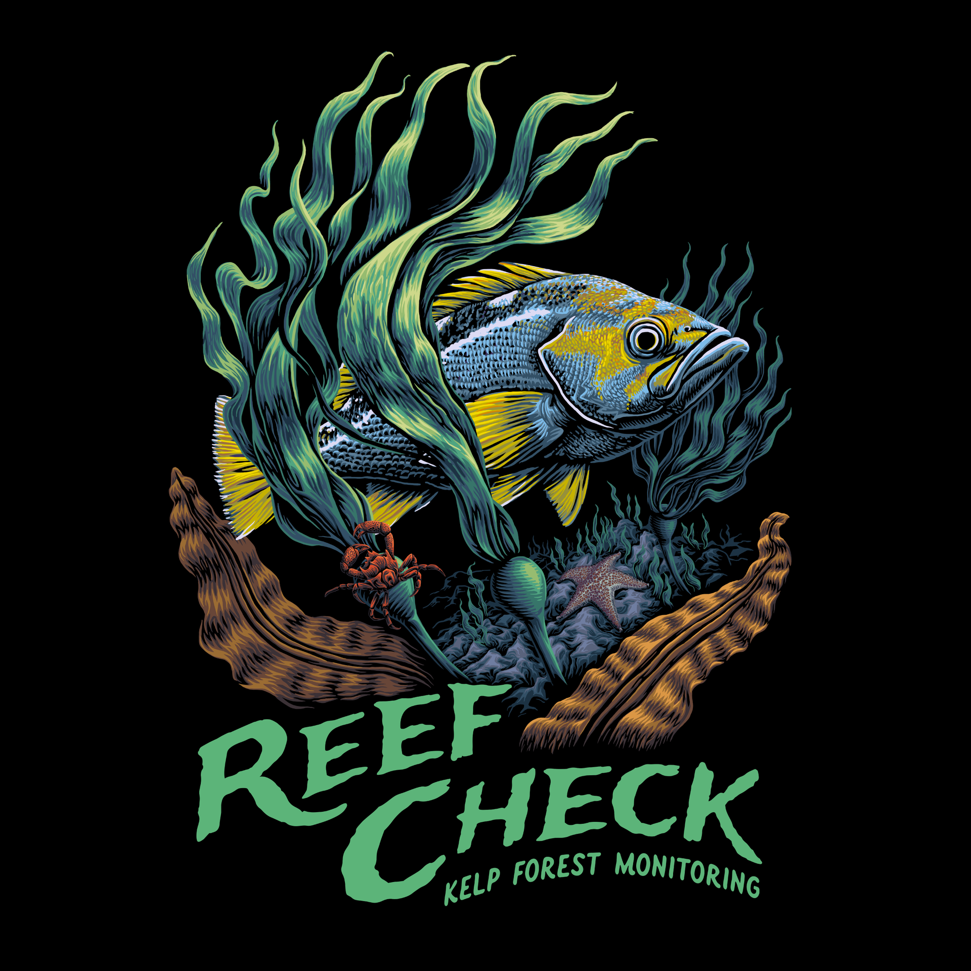 Reef Check- Washington